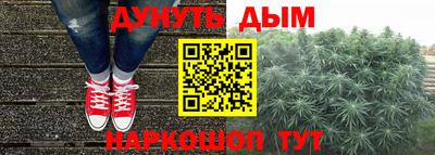 сатива Будённовск