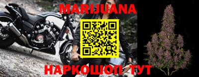 сатива Будённовск