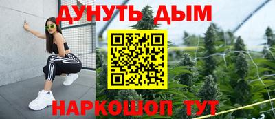 сатива Будённовск
