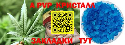 сатива Будённовск