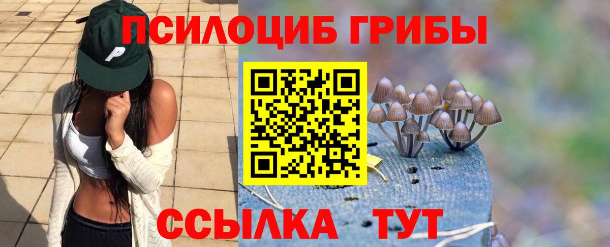 Псилоцибиновые грибы Psilocybine cubensis  Вход с VPN  Кубинка 