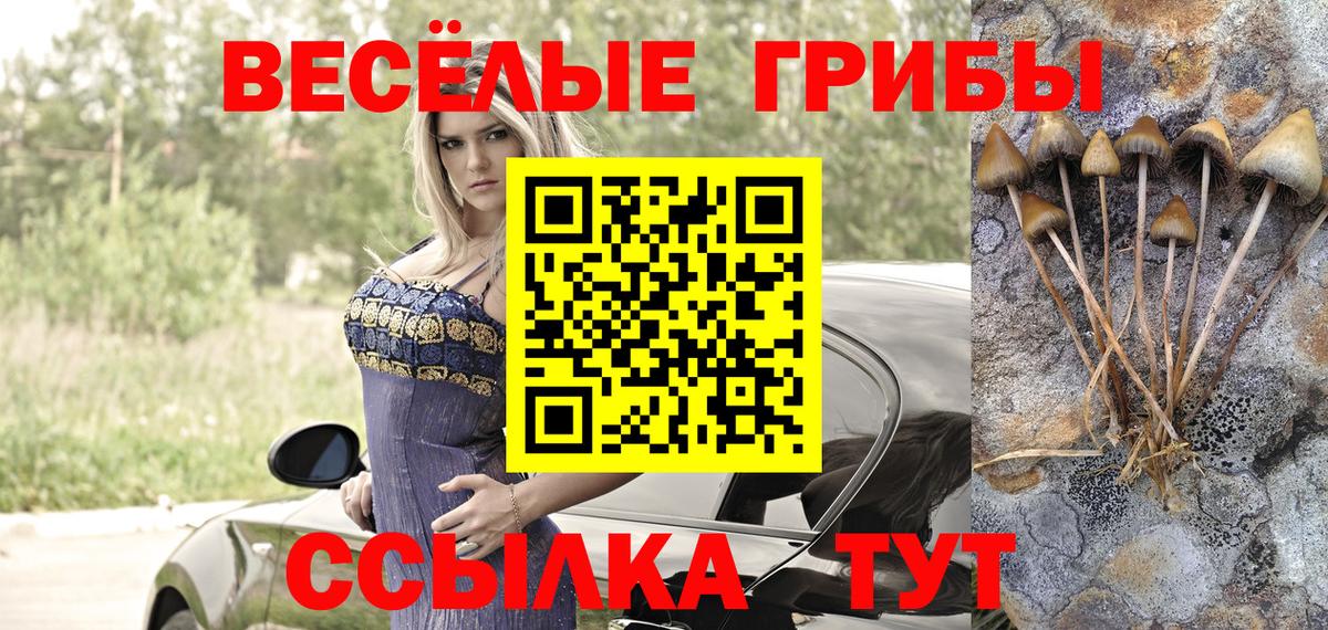 Псилоцибиновые грибы мухоморы Кубинка